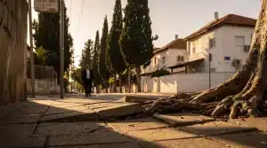 נזק מתשתית ציבורית: המדריך המלא להגשת תביעה וקבלת פיצויים